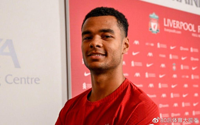 在网前的捕 在网前的捕