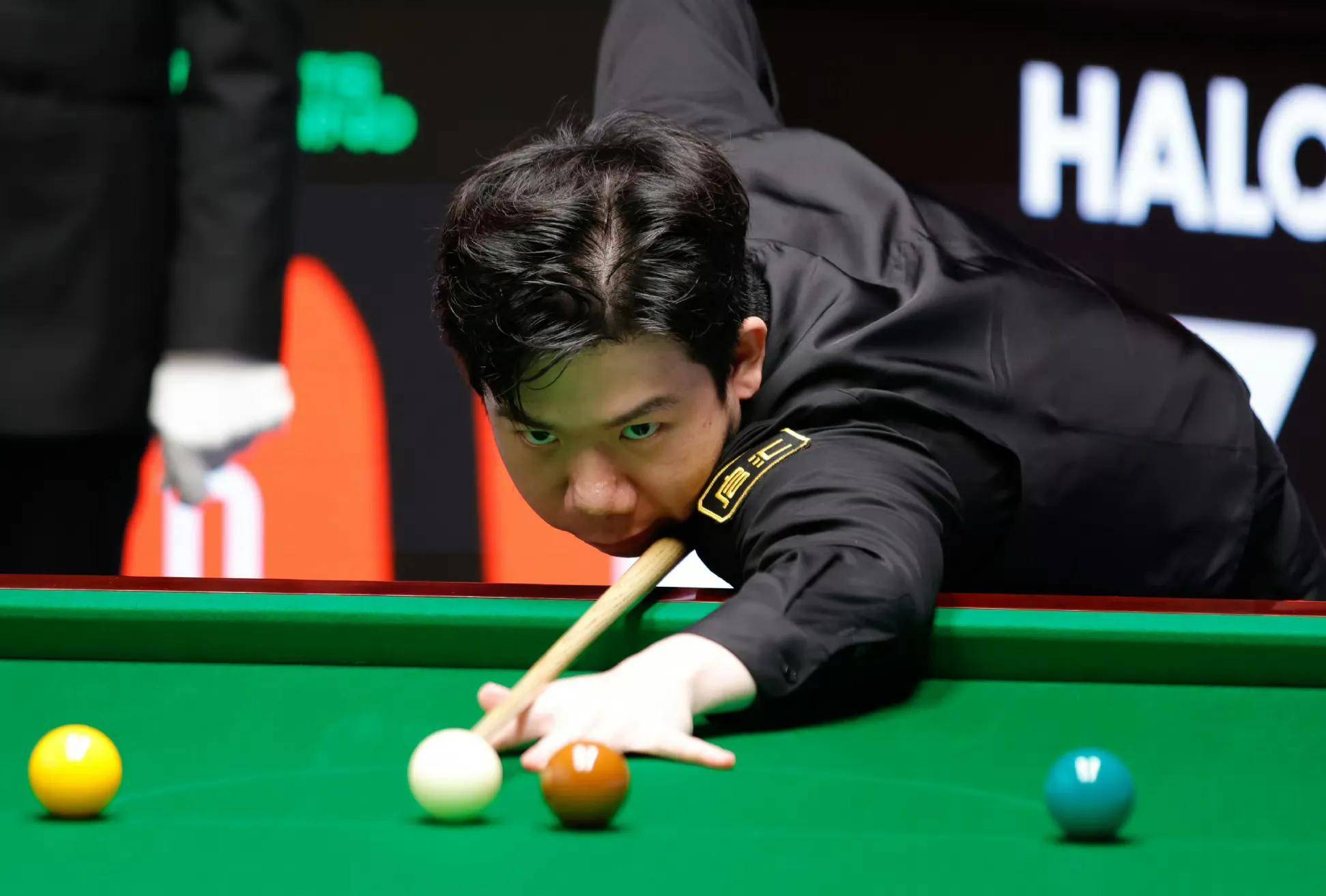 在过去的几 在过去的几