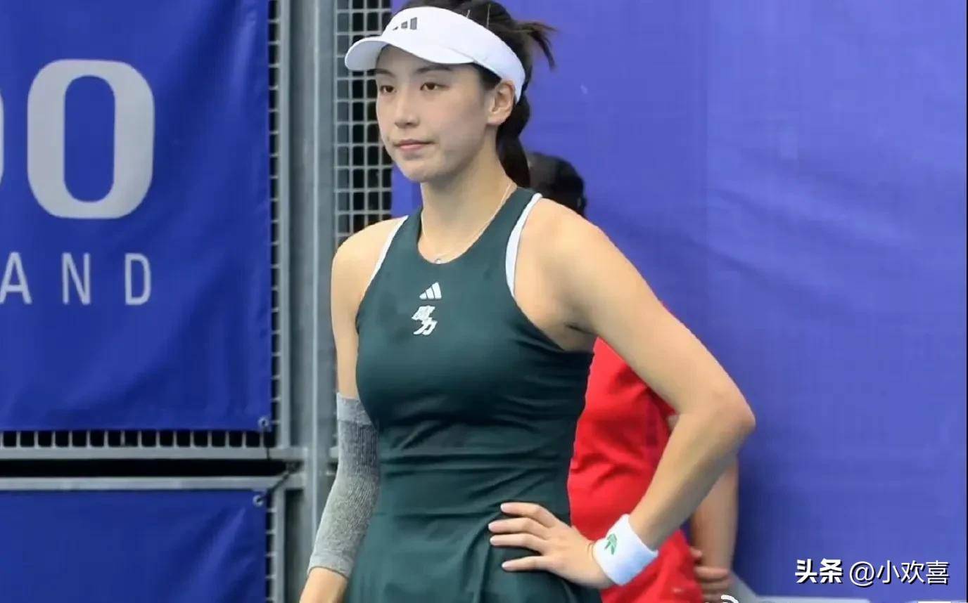 网增添了几 网增添了几