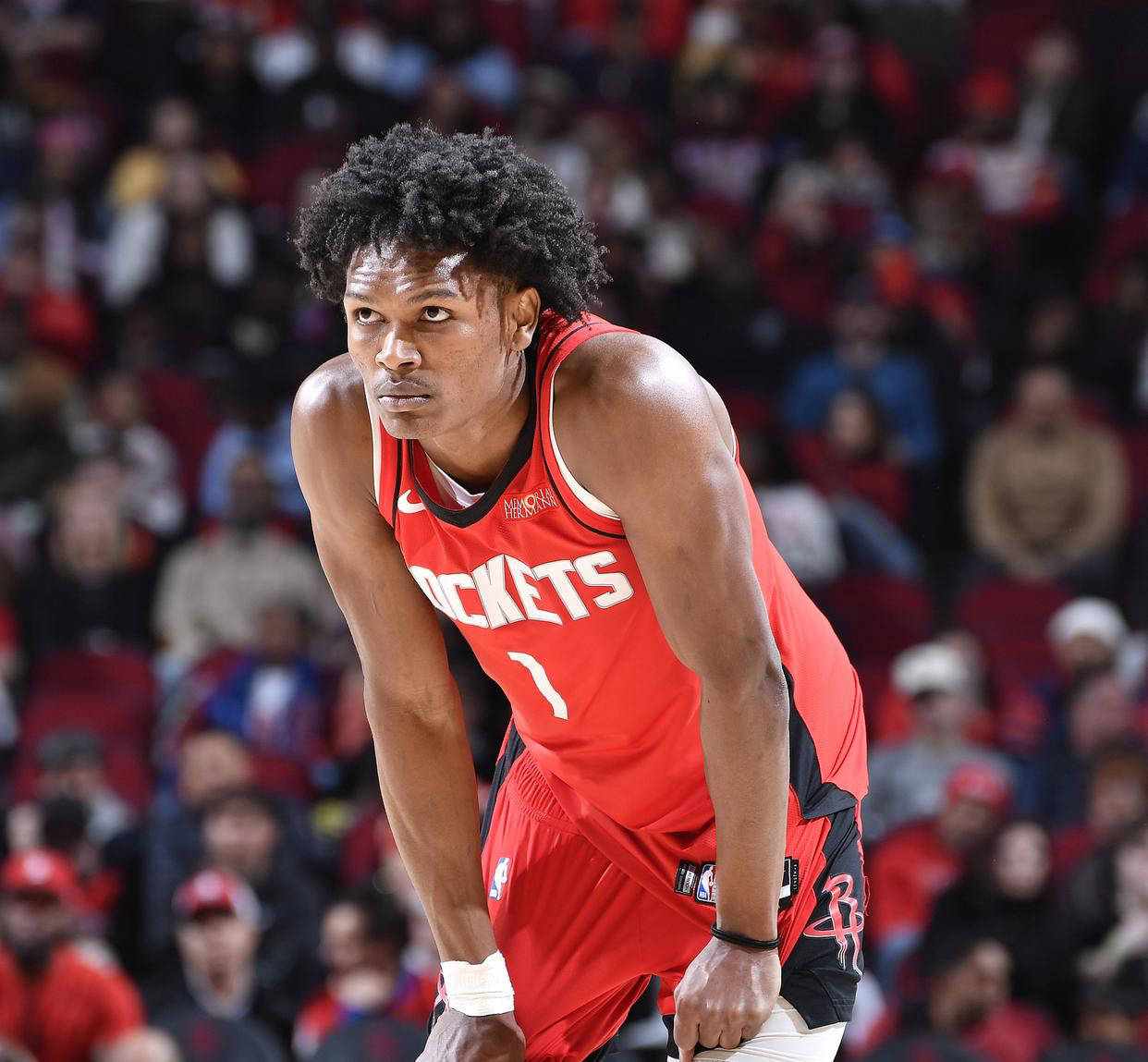 霍乐迪的持 霍乐迪的持